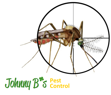 People in Impoverished Areas Given Insects To Eat