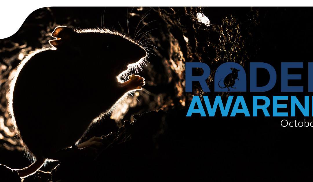 Rodent Awareness Week!