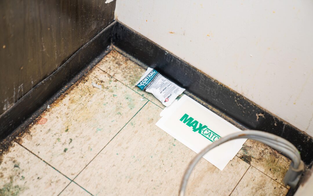 Strawberry Root Weevils Tend To Congregate In Bathrooms And Other Moist Indoor Areas